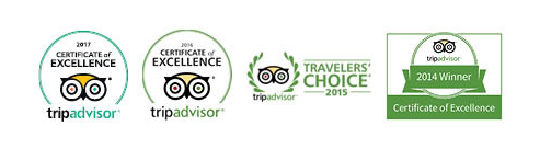 trip advisor awards equal size